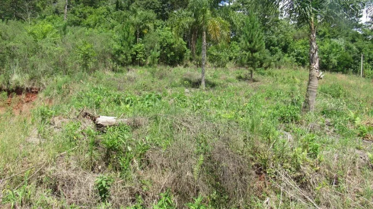 Imagem Terreno para Venda em Concórdia, Rural