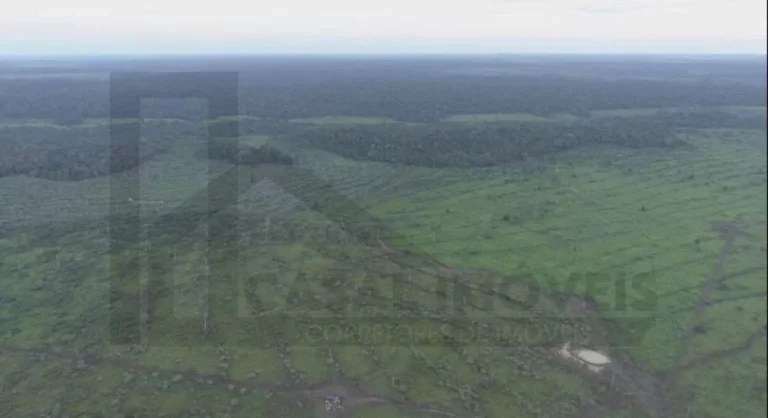 Foto do imóvel CASAL IMÓVEIS VENDE FAZENDA GOIANÉSIA DO PARÁ COM 3.533 HECTARES
