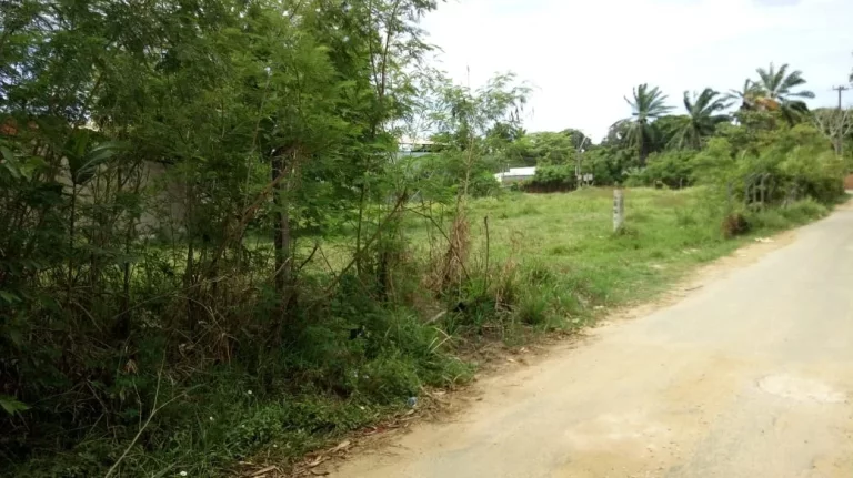 Imagem TERRENO EM ABRANTES