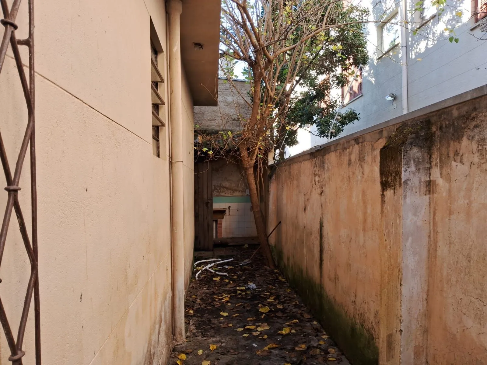 Imagem Casa em Menino Deus