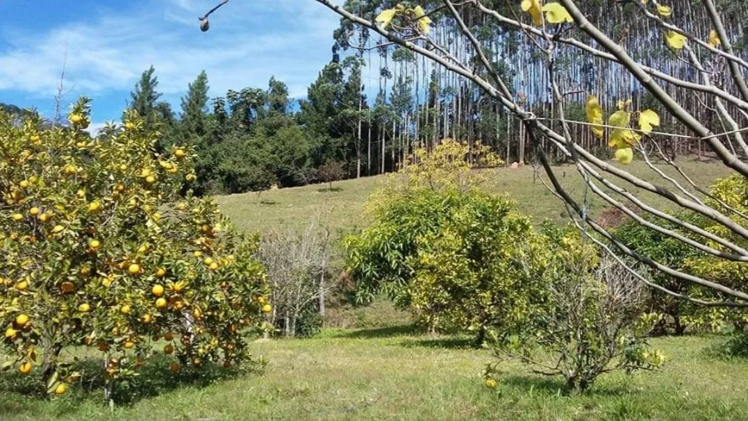Imagem Chácara à venda 4 Quartos, 4 Suites, 1452000M², Zona Rural, Salesópolis - SP