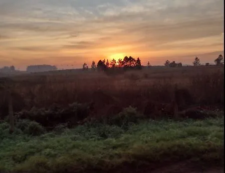 Imagem Terreno em São José