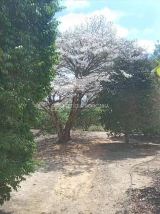 Imagem Fazenda a venda