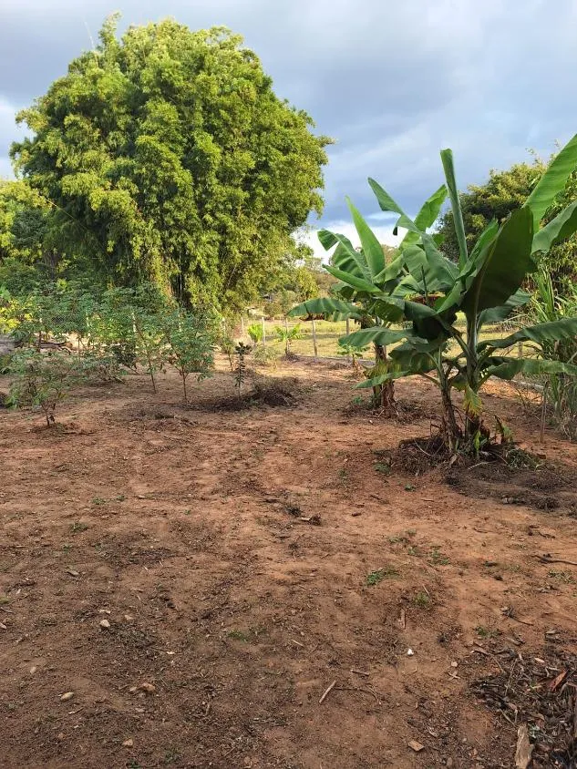 Imagem Vendo Chácara em Bonfim/MG com 1.815 m² de área total.