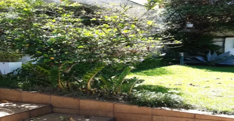 Imagem ÓTIMA CASA COM EDICULA E EXCELENTE LOCALIZAÇÃO NA VILA HORTOLÂNDIA EM JUNDIAÍ/SP.