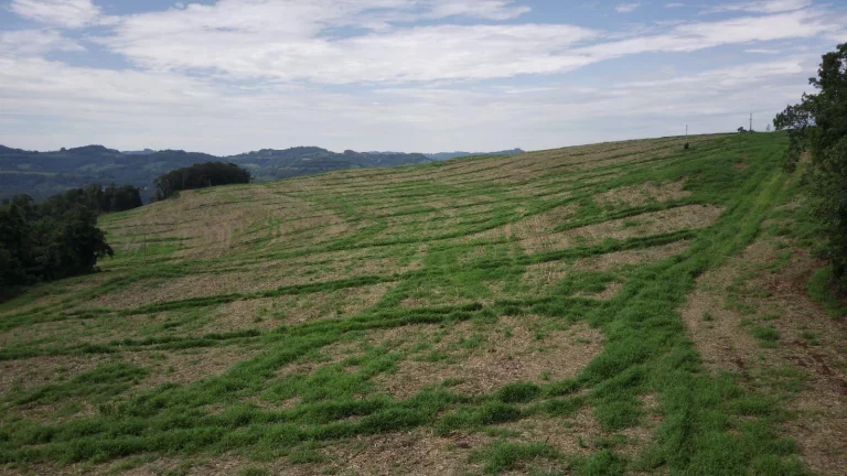Imagem Área Agrícola para Venda em Concórdia, Rancho Grande