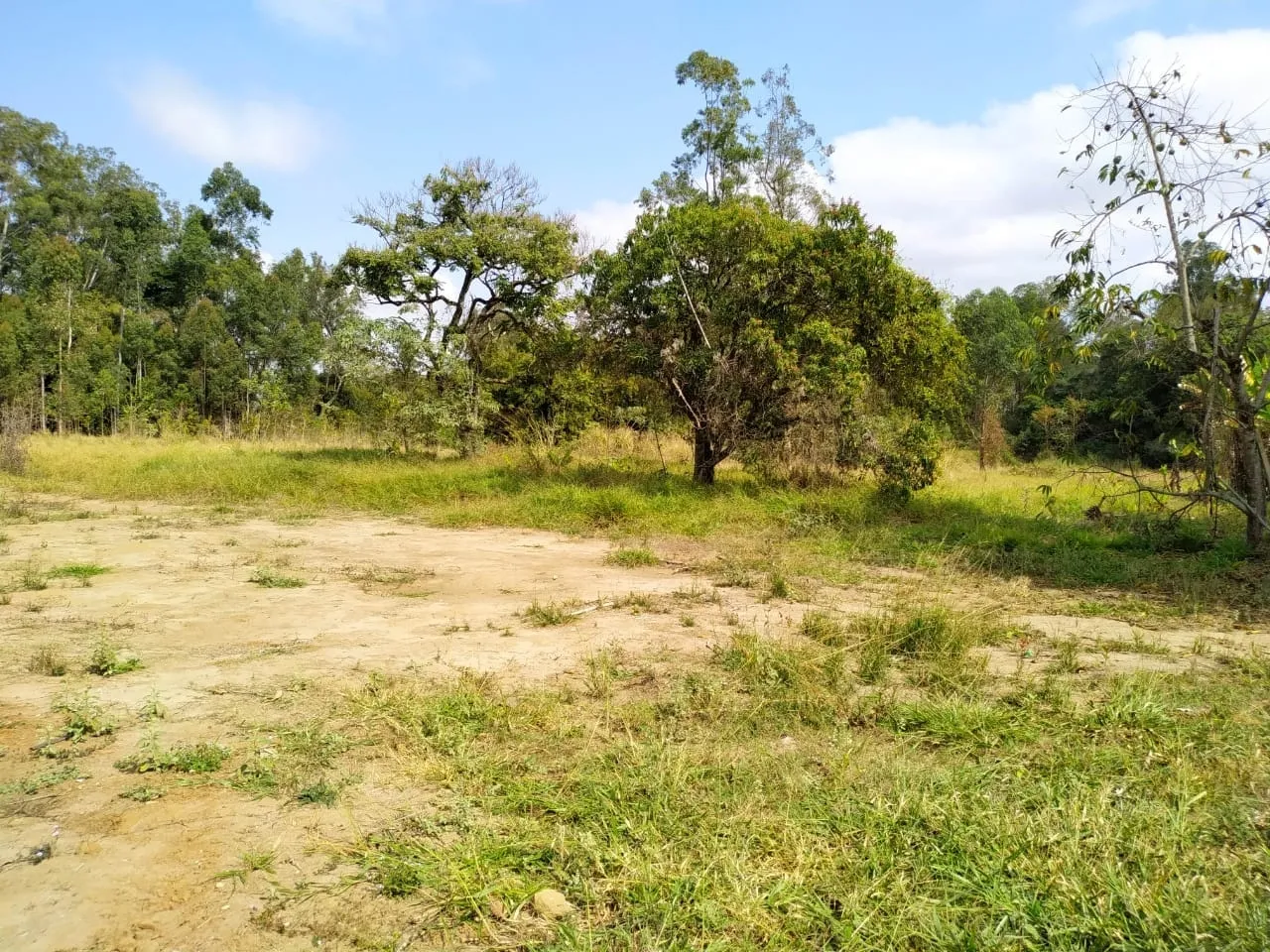 Imagem Chácara à venda 7 Quartos, 5 Suites, 2 Vagas, 66000M², Campinas, Pindamonhangaba - SP