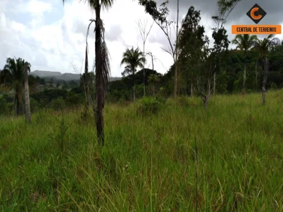 Imagem TERRENO NA VIA PARAFUSO