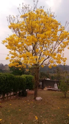 Imagem Chácara na Região de Bragança Paulista