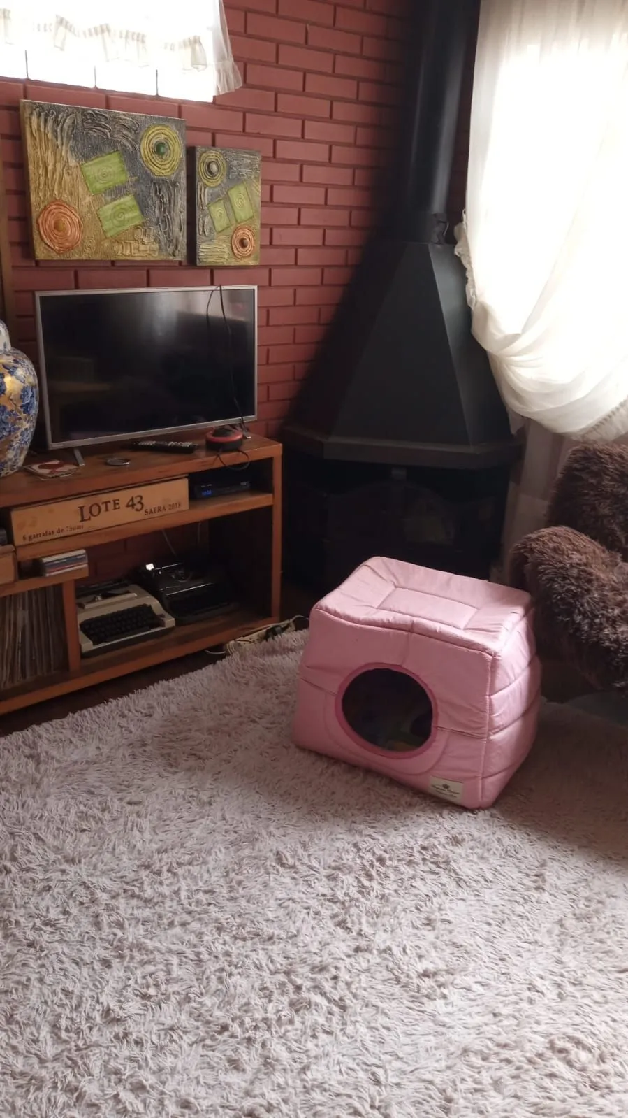 Imagem Apartamento em Menino Deus