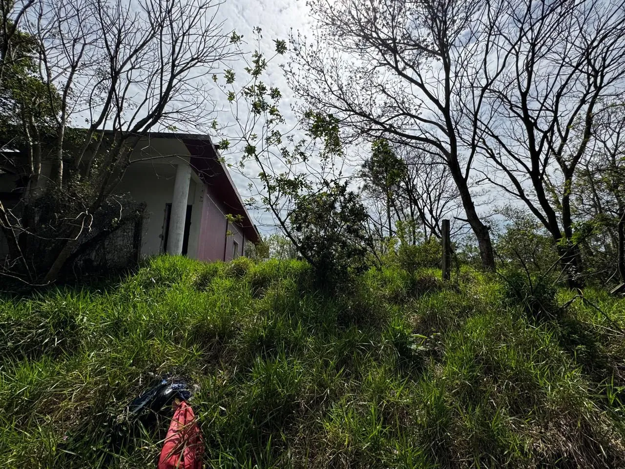 Imagem Terreno de 1 Hectare à Venda em Osório - Estrada do Mar de frente, RS com laudo Ambiental.
