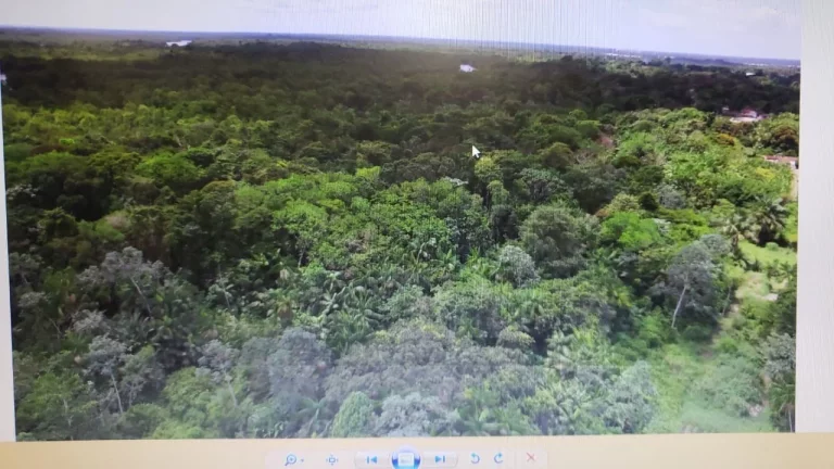 Imagem CASAL IMÓVEIS VENDE GRANDE ÁREA 72.000 M2