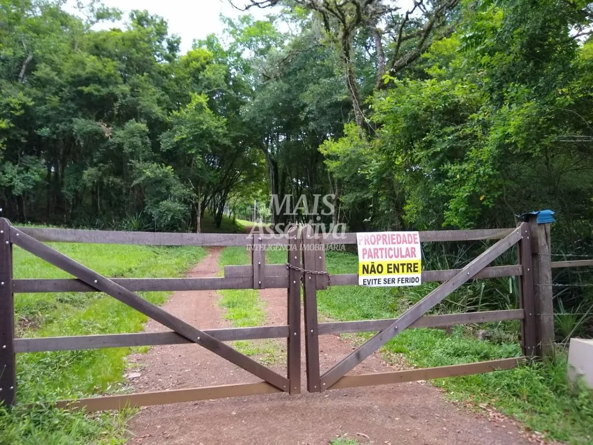 Imagem Sítio para Venda em Três Coroas / RS no bairro Canastra Baixa