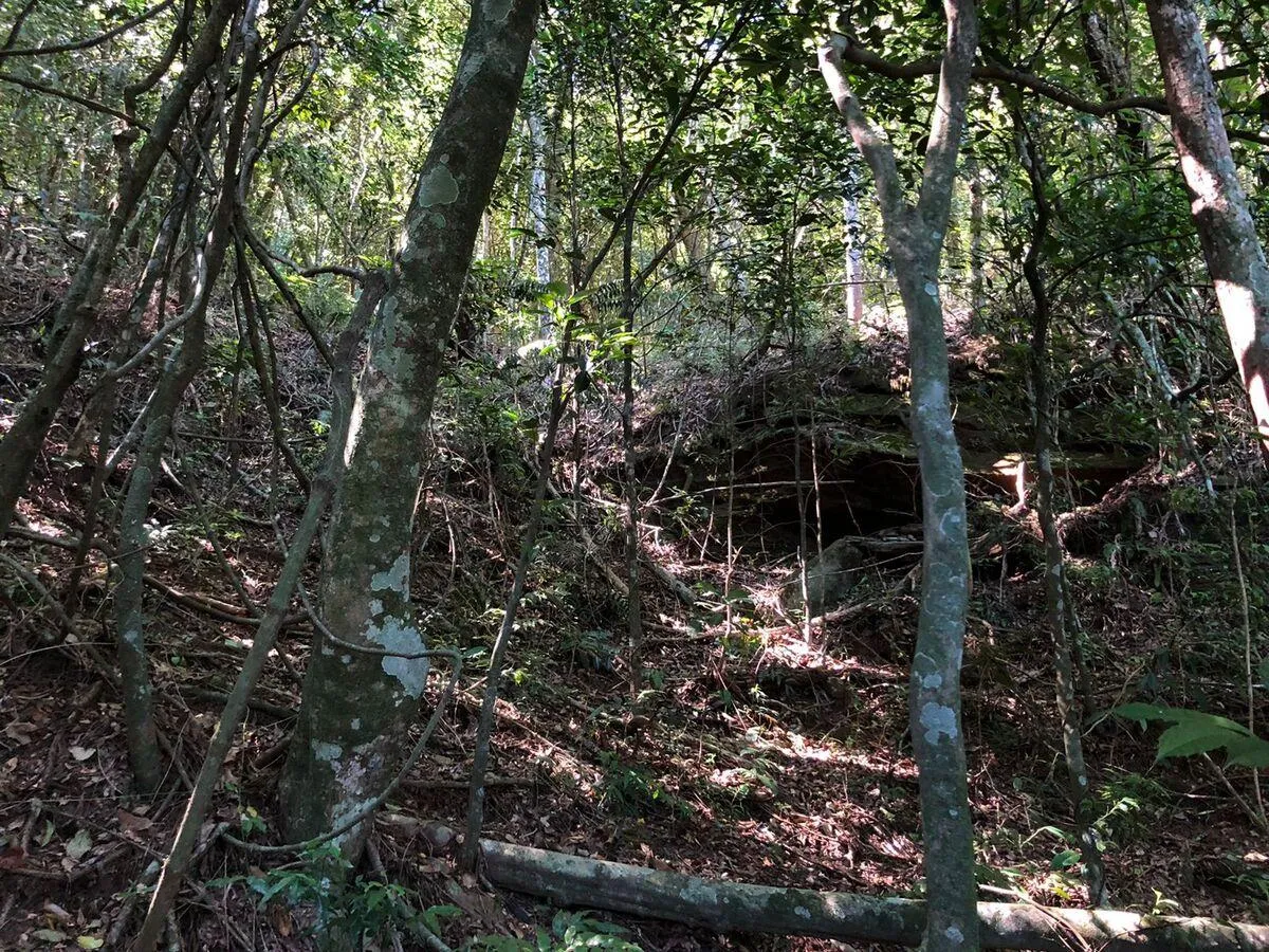Imagem Chácara para venda , localizado em São João do Deserto, Lomba Grande em Novo Hamburgo/RS.