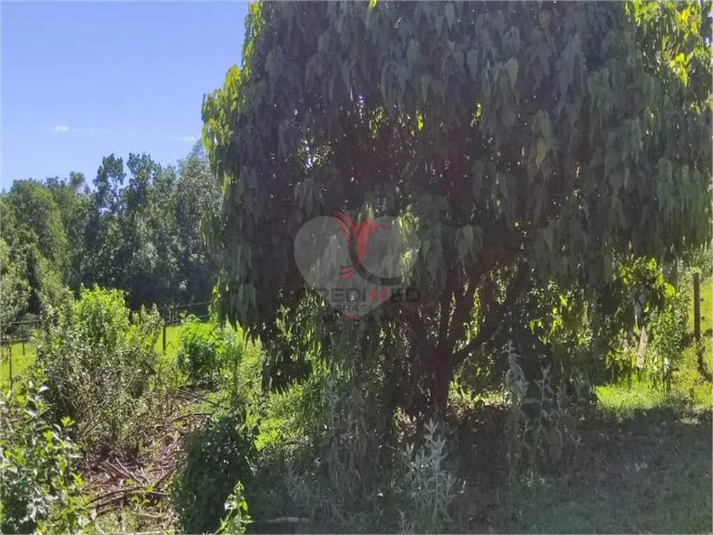 Imagem Fazenda/Sítios/Chácaras de 2 quartos, 24200m² no bairro Área Rural De Bauru, em Bauru