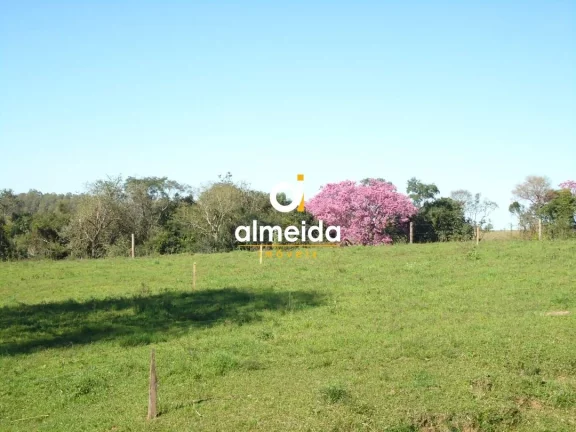 Imagem Chácara 3 dormitórios à venda Zona rural Restinga Seca/RS