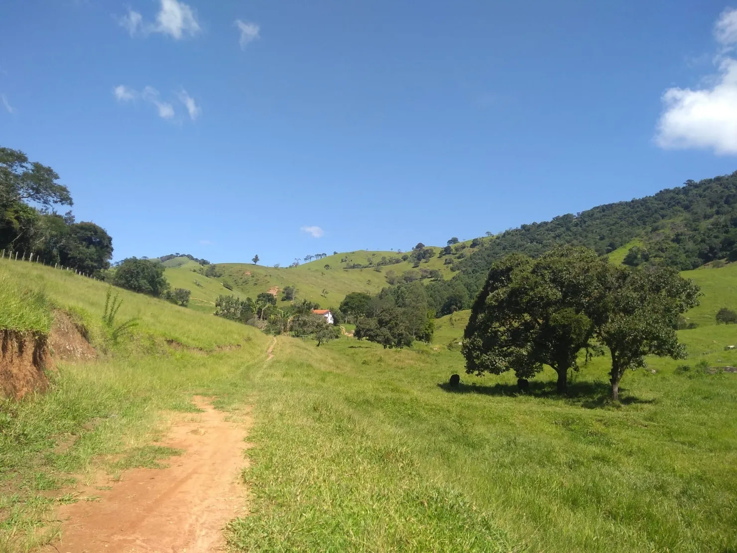 Imagem Chácara à venda 2 Quartos, 768000M², Zona Rural, Cunha - SP
