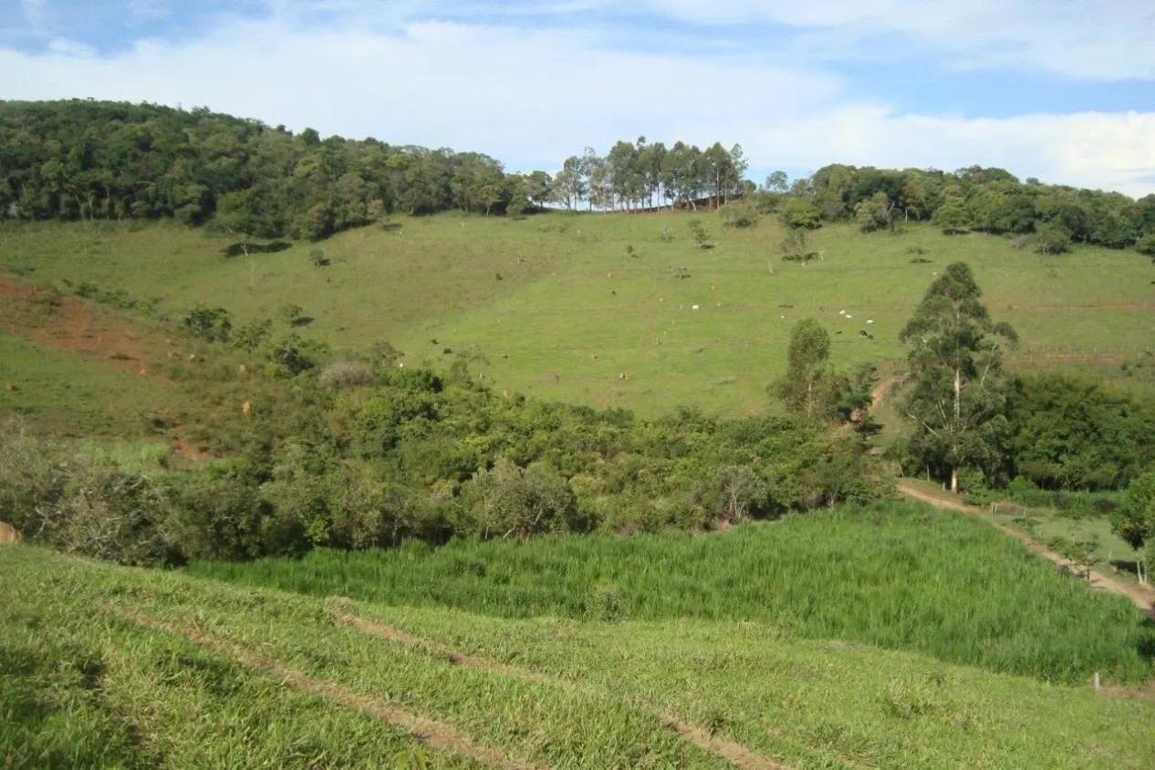 Imagem Vendo uma excelente fazendinha em Crucilândia/MG Área total de 57 hectares