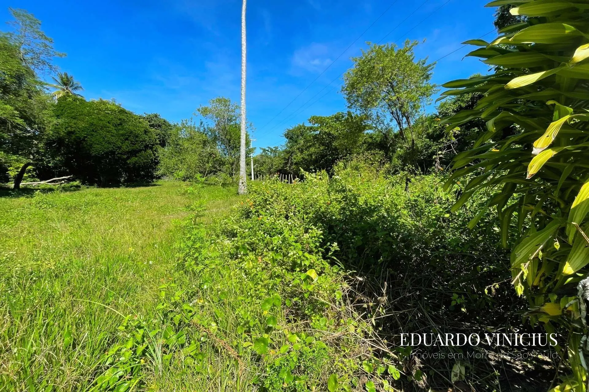 Imagem Terreno 4.020 m² à Venda na Praia do Encanto em Morro de São Paulo