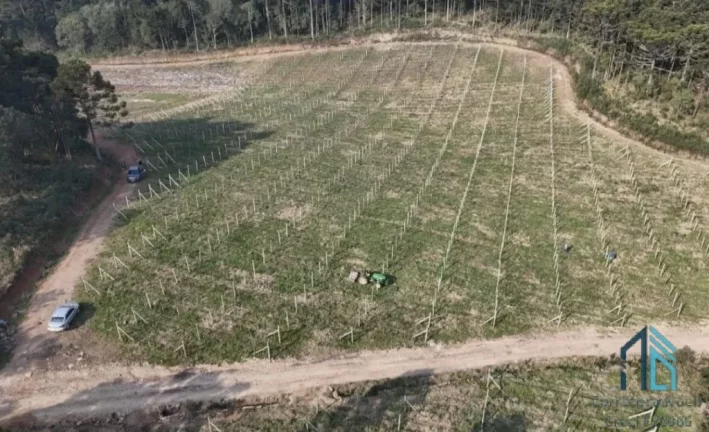 Imagem - Fazenda, Vinícola, Sítio, A VENDA, próximo ao centro de São Joaquim SC