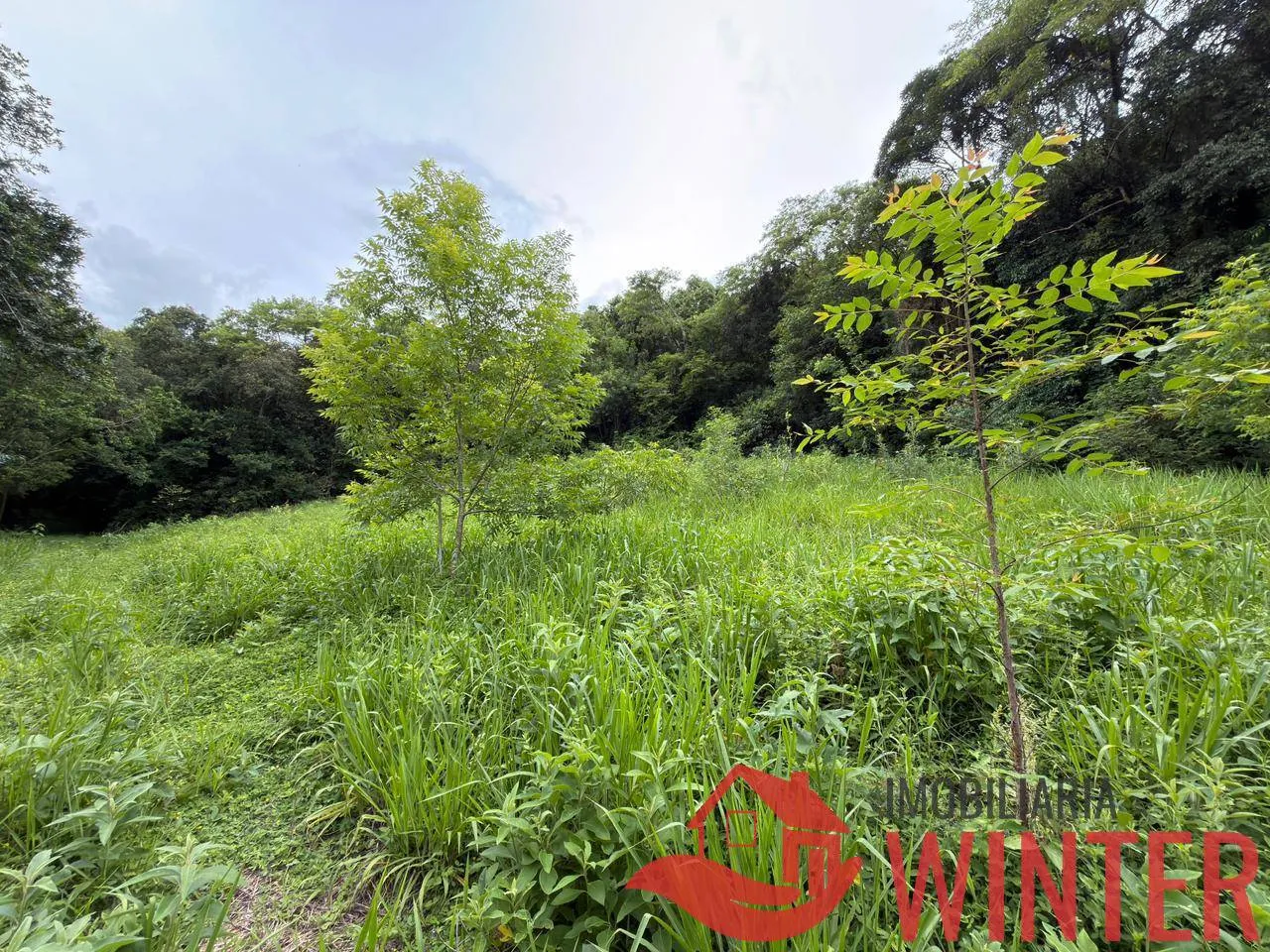 Imagem Area com 10.571 m2 no São Roque, Feliz