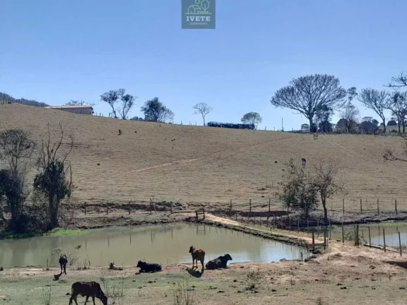 Imagem Terreno incrível para criação de animais e plantio