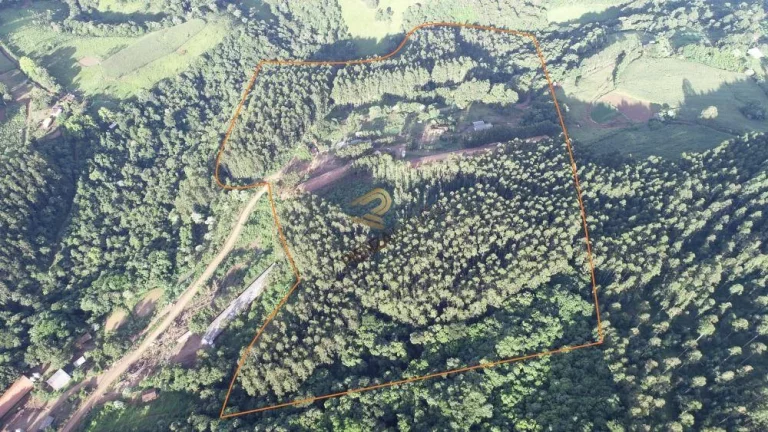 Imagem Área Agrícola para Venda em Ipumirim, Centro