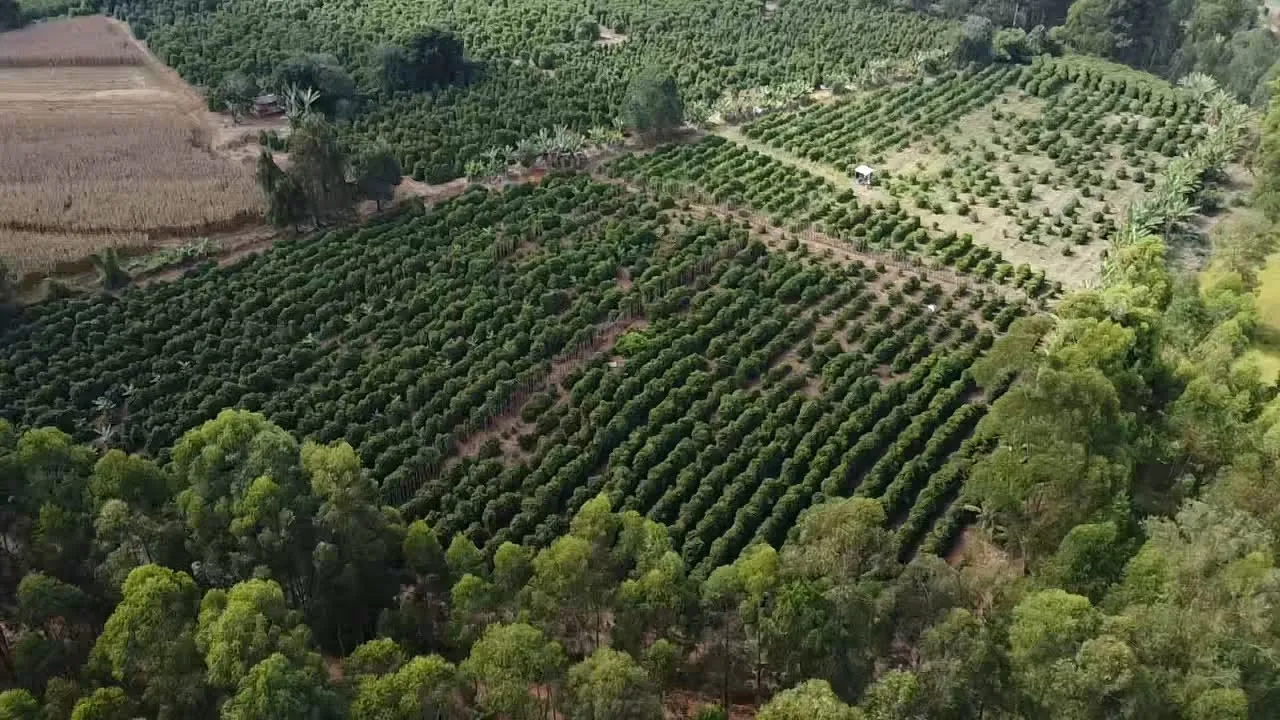 Imagem Sítio 1,3 ha à venda em Capituvas, Campestre