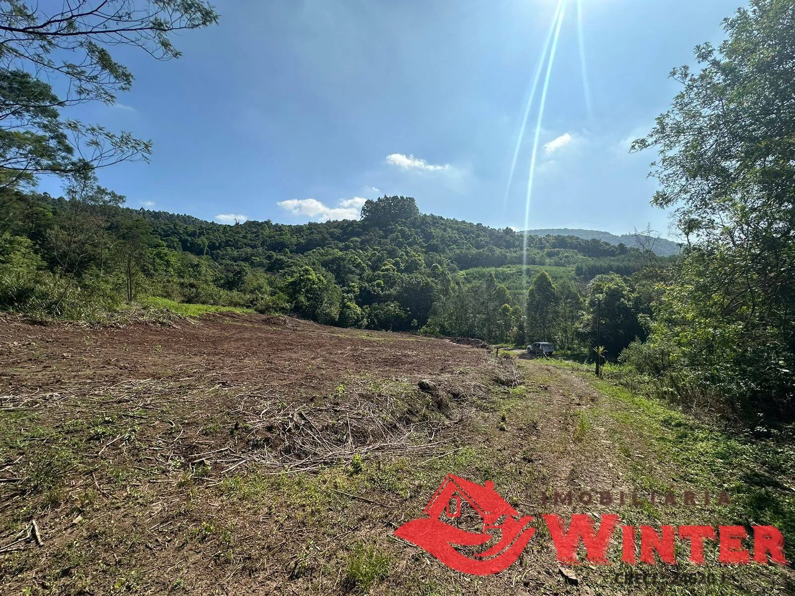 Imagem Área de terras com 10 hectares em Linha Nova