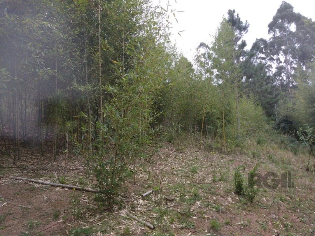 Imagem Área 4,69ha | Bairro Belém Velho