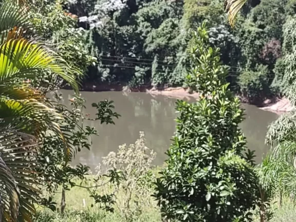 Imagem Sítio à Venda no Bairro Bananal - Oportunidade Única!