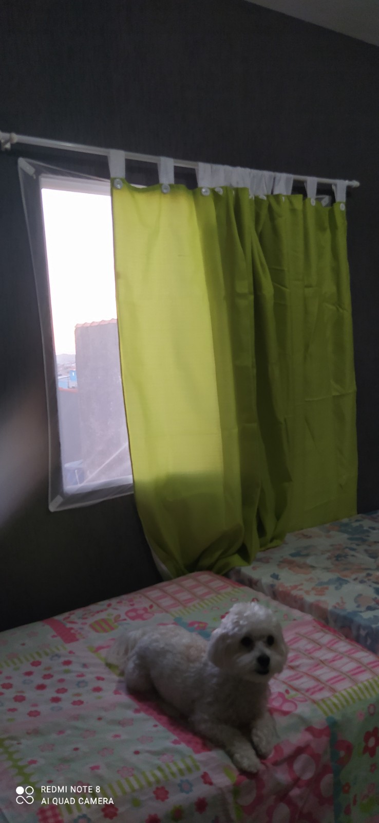Imagem Casa de Vila com 2 Quartos à Venda, 70 m² em Vila Melchizedec - Mogi das Cruzes