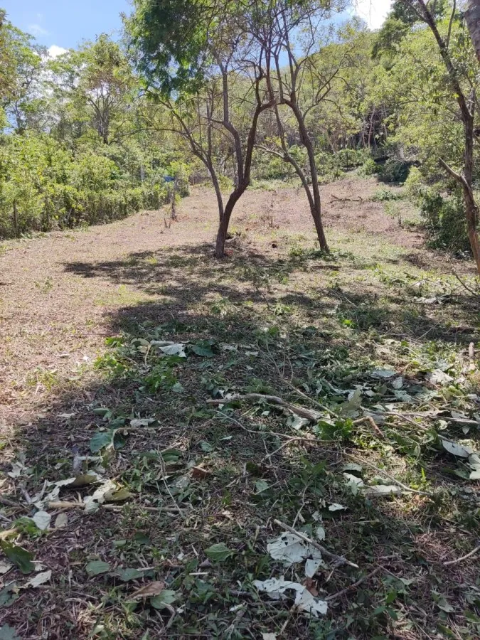 Imagem Terreno em Condomínio para Venda em Petrópolis / RJ no bairro Araras
