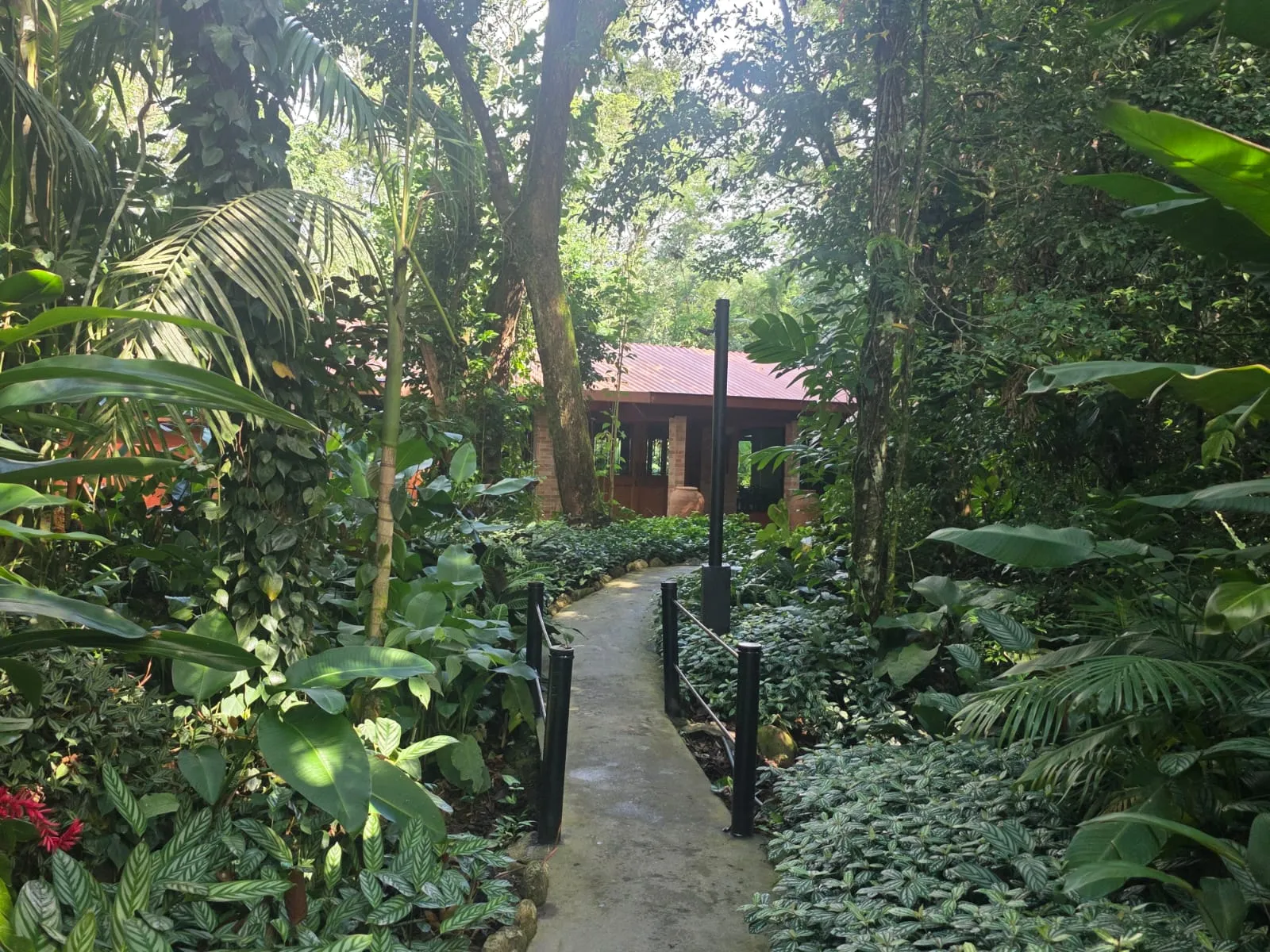 Imagem Charmosa Casa em condomínio no Park Imperial em Caraguatatuba