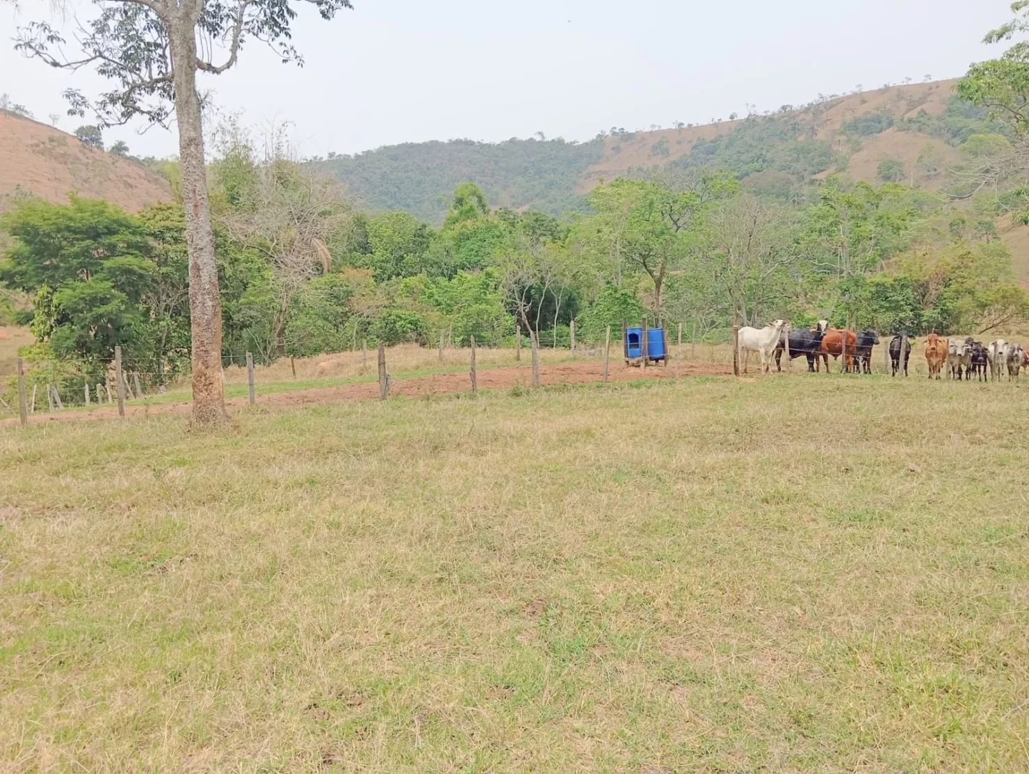 Imagem Fazenda proxima a Dutra paraa venda, , Roseira Velha, SP