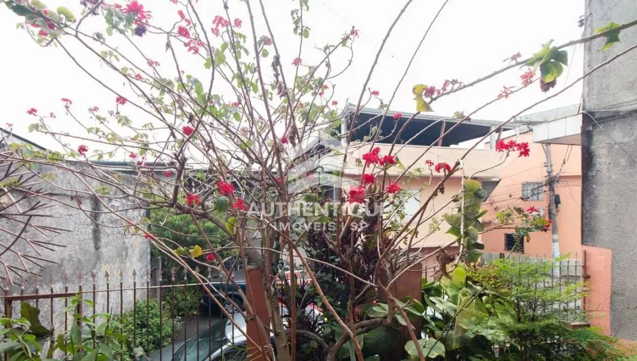 Imagem Casa à venda no bairro Jardim Colorado - São Paulo/SP, Zona Leste
