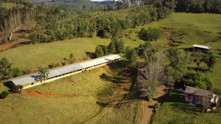 Imagem Área Agrícola para Venda em Concórdia, Rural