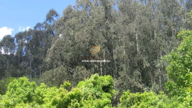 Imagem Área Agrícola para Venda em Concórdia, Interior