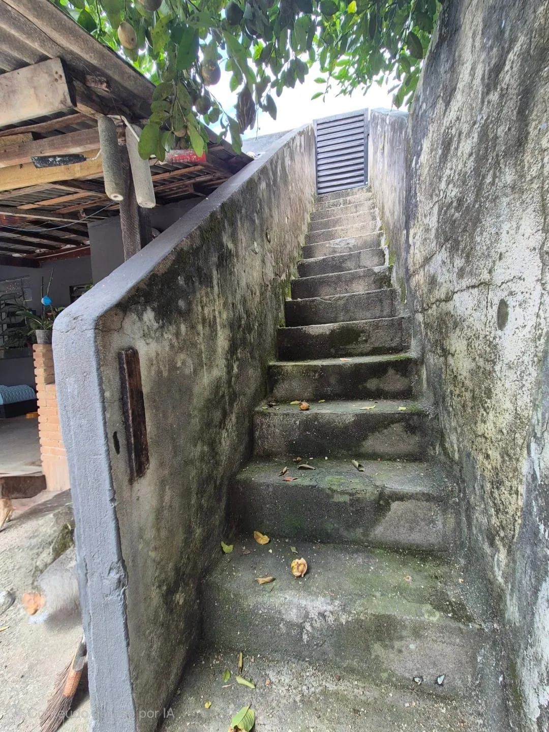 Imagem Casa Térrea na Região Central de Roseira com Espaço Comercial, Quintal Amplo, Piscina e Churrasqueira à Venda