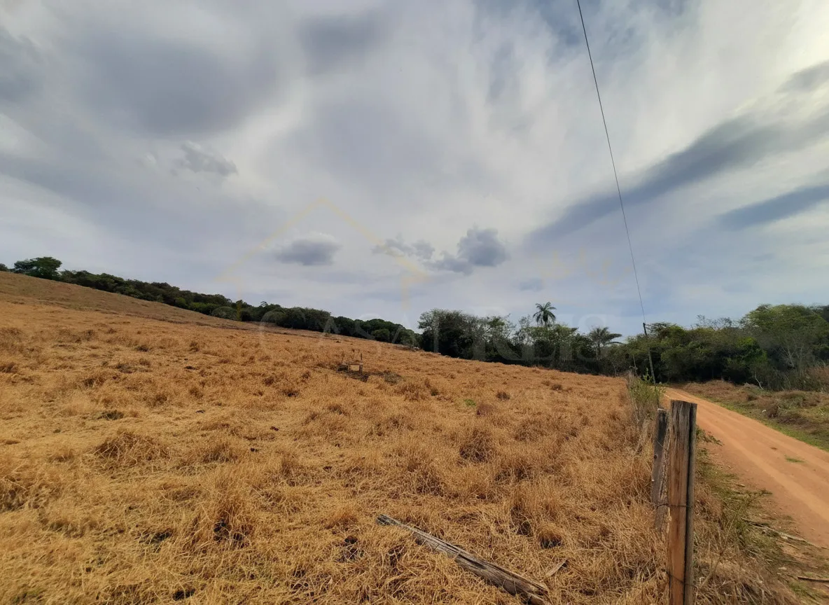 Imagem Gleba 23.800 m² à venda em Correias, Bandeira do Sul