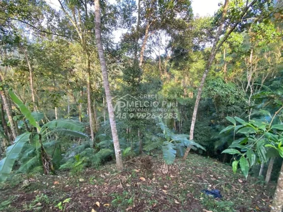 Imagem Sítio a venda em Nova Trento - Terra de Santa Paulina. Com área de 7.000m², muitas árvores ao redor. Plantas frutíferas,