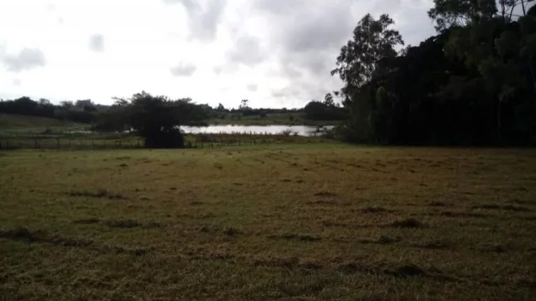 Imagem Sitio com 5.536m², mata nativa, Lagoa nos fundos, Águas Claras/ Viamão
