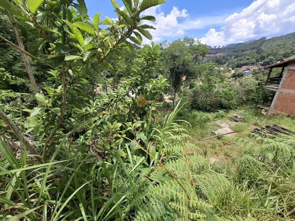 Imagem Terreno para Venda em Teresópolis / RJ no bairro Albuquerque