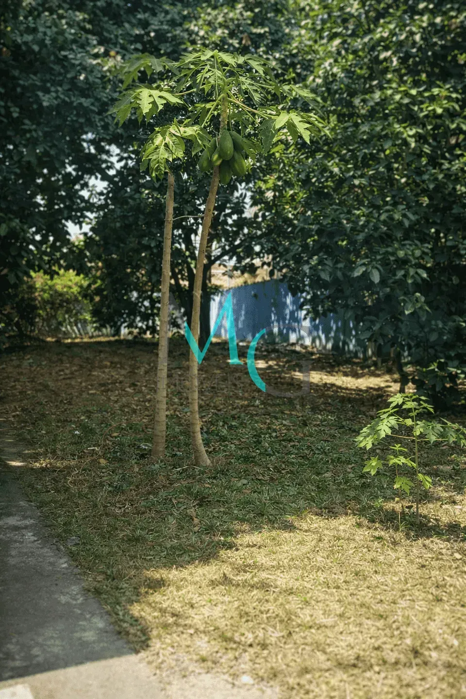 Imagem Casa para 4 quartos venda ou locação, Campo Grande, Rio de Janeiro, RJ