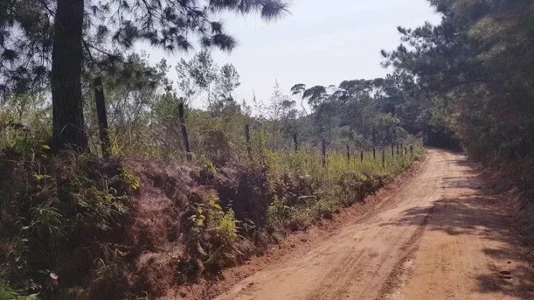 Imagem Área Rural para formar Chácara
