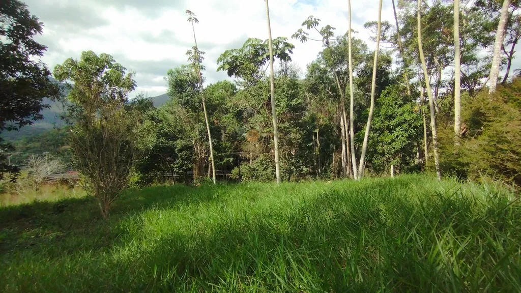 Imagem Terreno em Condomínio para Venda em Teresópolis / RJ no bairro Green Valley