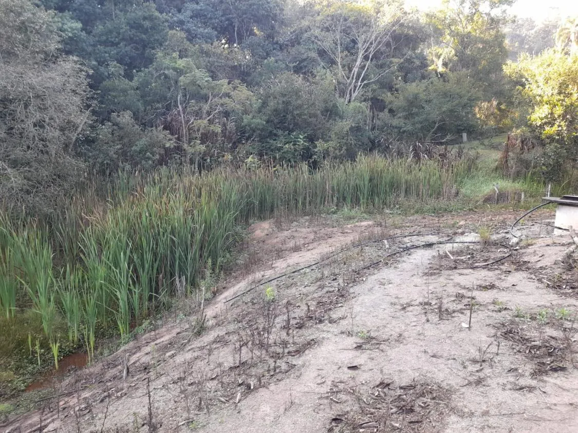 Imagem TERRENO - BAIRRO DA RESSACA - IBIUNA
