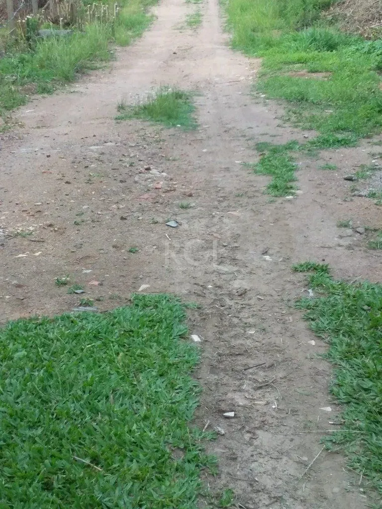 Imagem Terreno em Vila Nova