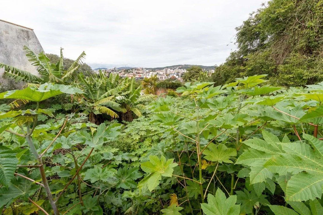Imagem Terreno para Venda - 0m², 0 dormitórios, Vila Assunção