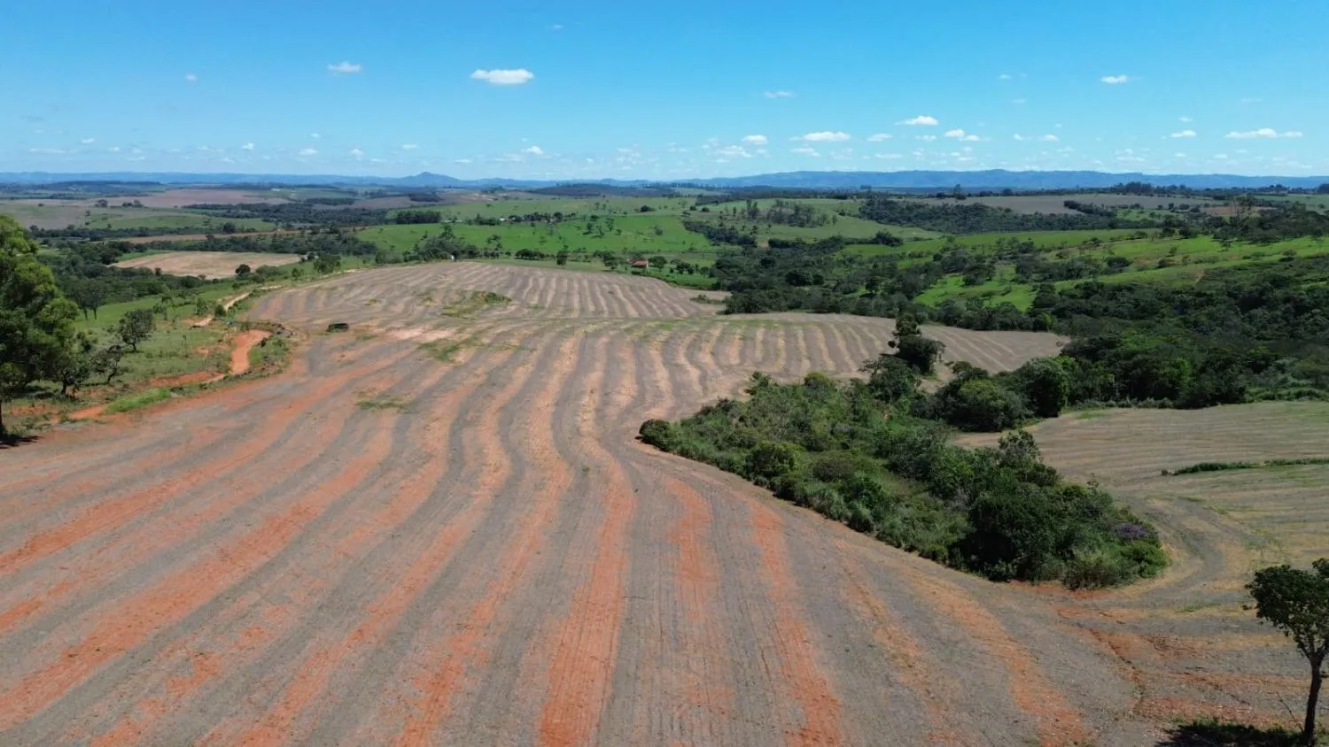 Imagem FAZENDA À VENDA - LUZ (MG) 60 hectares de área total,
